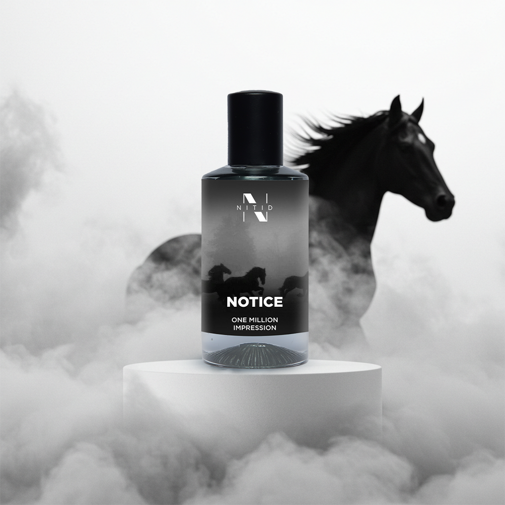 NITID NOTICE PERFUME IMPRESSION OF 1 MILLION
